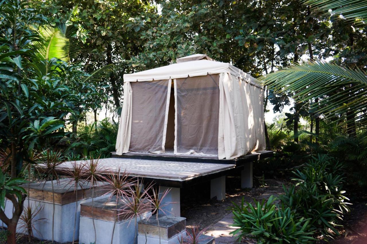 ناسيك Cocoon Stay المظهر الخارجي الصورة